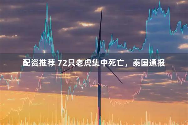 配资推荐 72只老虎集中死亡，泰国通报